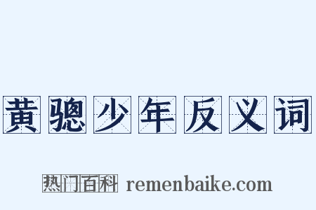 黄骢少年反义词是什么意思的图片